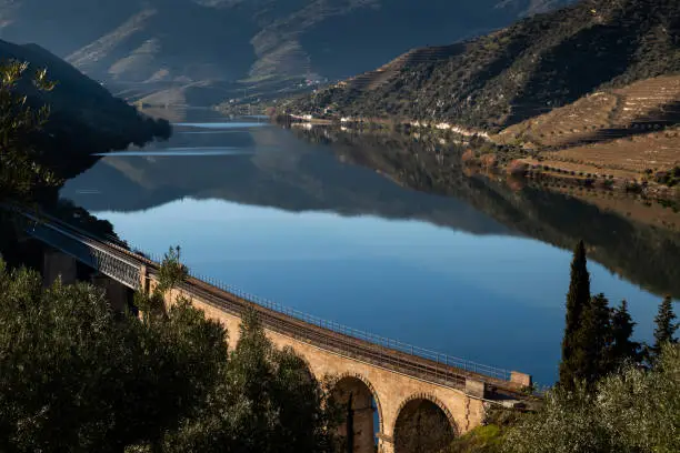 Photo of Scenic view of the Douro River with terraced vineyards near the village of Foz Coa