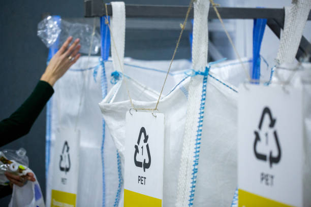 Sorting recyclables. Volunteer eco-activist sort polyethylene Terephthalate (PET) plastic bottles by color to a containers with the appropriate marking.