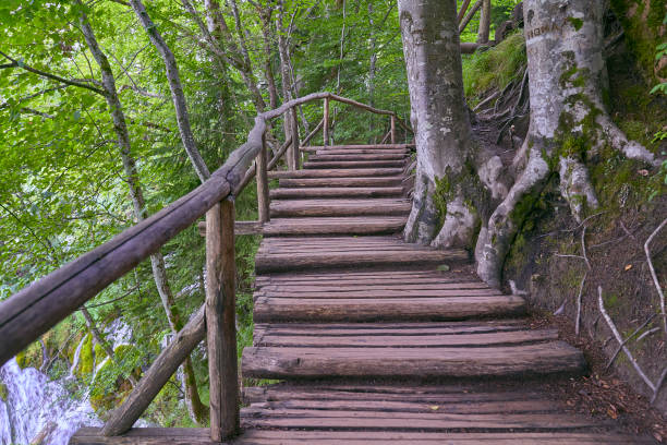 istock Plivitce National park in Croatia 1167648670
