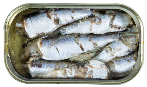 istock Open can of sardines in oil 1167648898