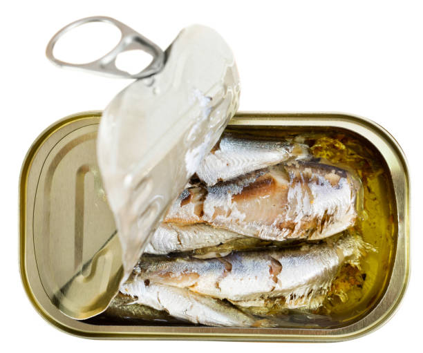 istock Open can of sardines in oil 1167650340