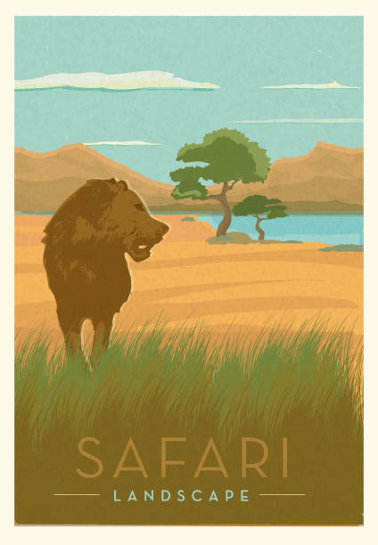 Vector illustration of a African safari with Lion scenic poster design with text. Vintage texture overlay. Fully editable EPS 10.