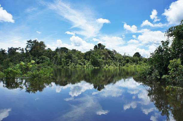 istock Beautiful and inspiring Amazon region landscape 1167654261
