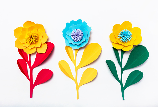 Colorful handmade paper flowers. White background