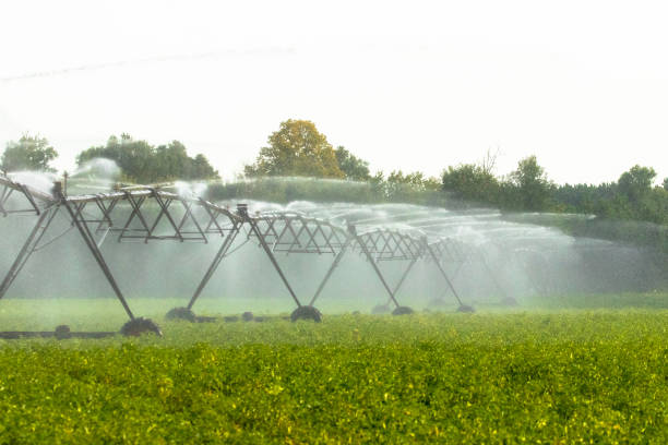 center pivot irrigation watering crops - wet places imagens e fotografias de stock