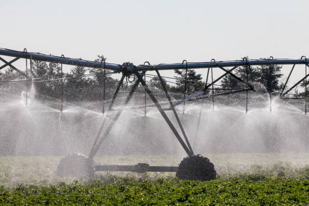 istock Center Pivot Irrigation watering crops 1167660968