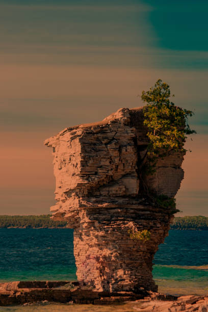 istock Flower pot rock formation at sunset, Lake Huron, ON 1167663656