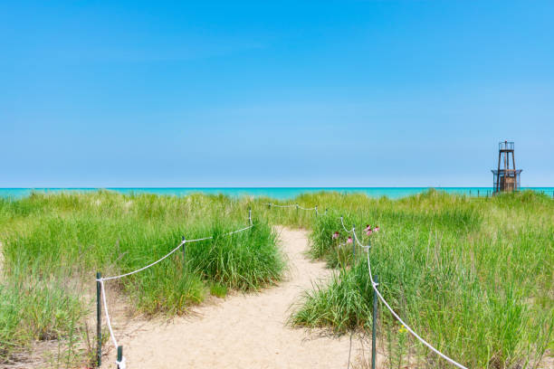 Sand Path on a Beach in Rogers Park Chicago with Native Plants and a Light Beacon