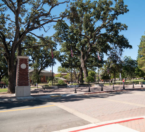 istock Small Town City Park Wide Angle 1167667258