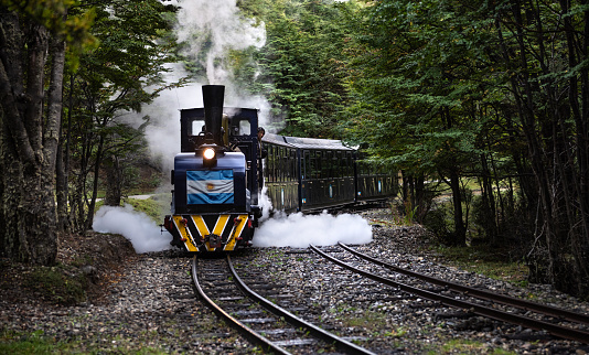 Ushuaia, Argentina - March 31 2019:  It is a narrow gauge steam train that transports tourists through the national park forest. This train was used by the prisoners to transport firewood until 1947