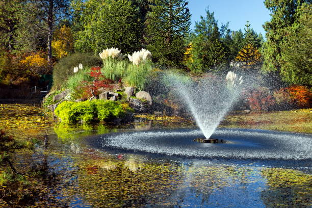 istock Pond with fountain in Van Dusen Park 1167668201