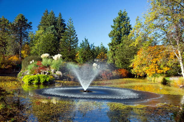 istock Pond with fountain in Van Dusen Park 1167668203