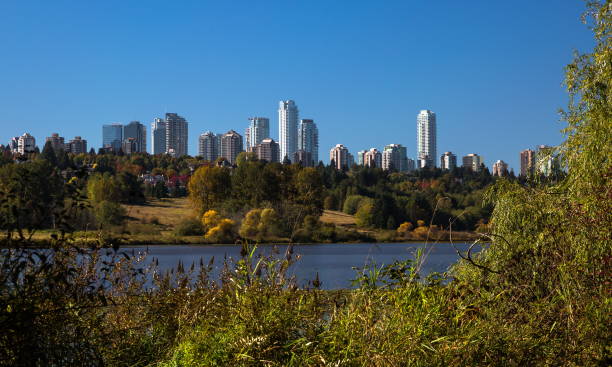 istock Forest lake in Burnaby City 1167668293