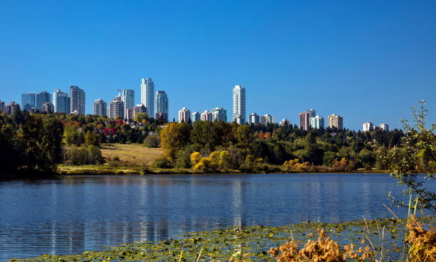 Forest lake in Burnaby City stock photo