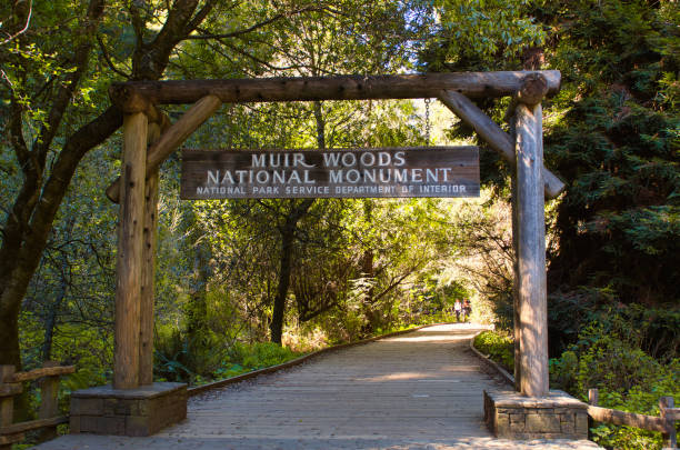Muir Woods National Monument Entrance to Muir Woods National Monument marin county stock pictures, royalty-free photos & images