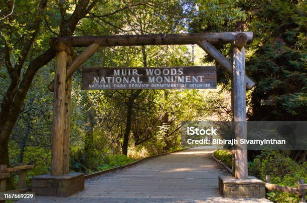 Muir Woods National Monument Stock Photo - Download Image Now - Muir Woods, Hiking, Sign
