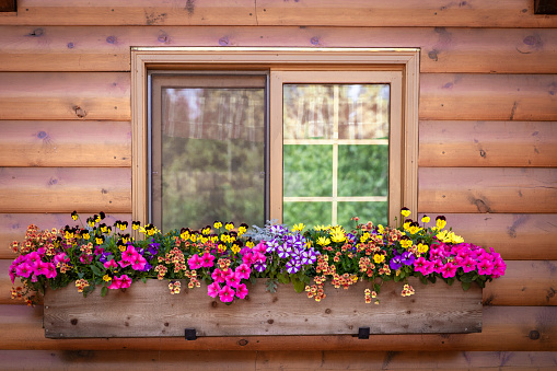 House window and flowers, seen in Graubunden, Vals