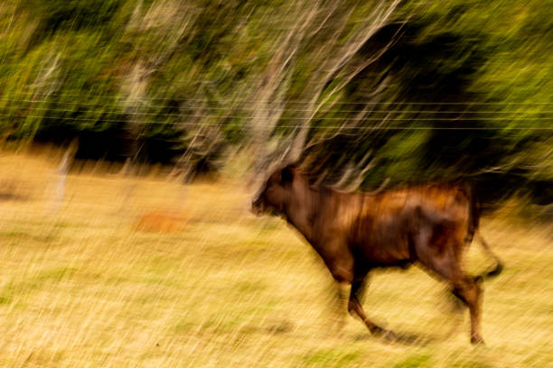 Rural region stock photo