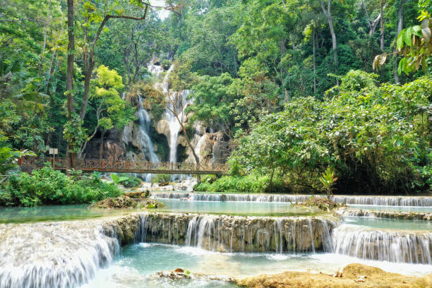 istock Laos luang prabang kuang si falls 1167676686