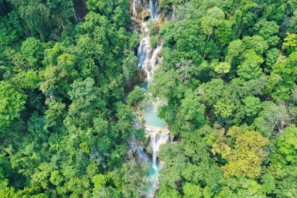 istock Laos luang prabang kuang si falls 1167676687