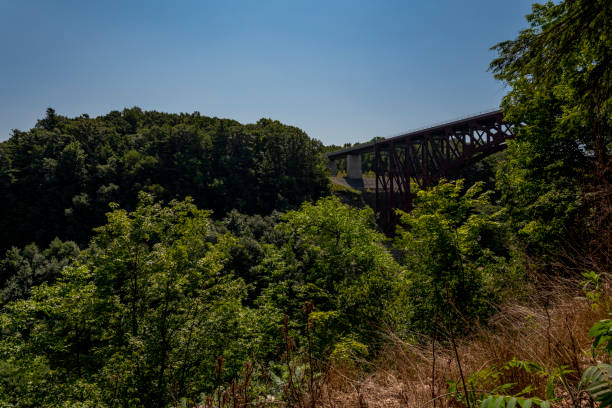 istock Letchworth State Park: Upper Falls, Genesee Arch Bridge 1167676704