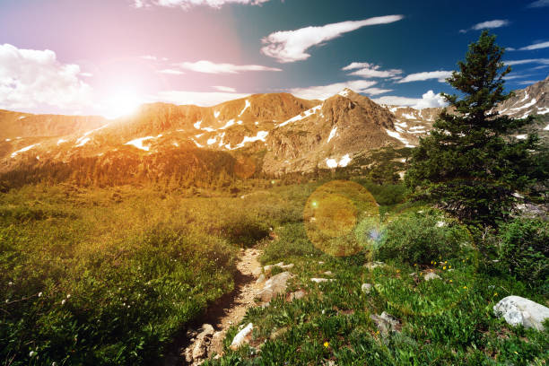 Sunset light shining behind a distant mountain range and a dirt hiking trail winding through an alpine meadow in a Colorado landscape scene