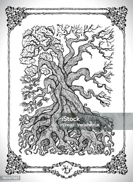Symbol Of Four Calendar Year Seasons And Old Tree Stock Illustration - Download Image Now - Border - Frame, Tree, Horror