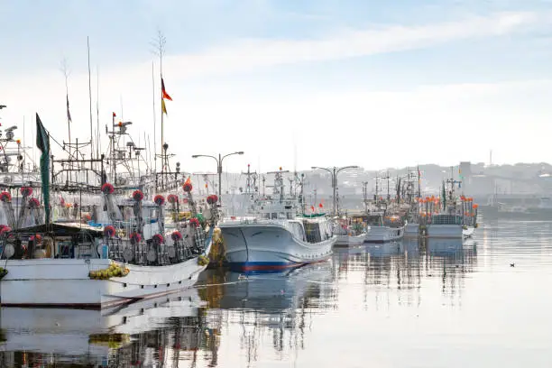 Fishing port in japan　TATEHANA