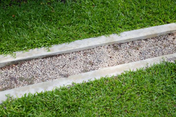 istock stone on waterway in nature garden 1167680336