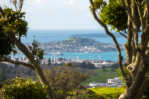 istock Auckland City Distant View 1167681352