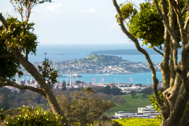 Auckland City Distant View