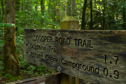 Wooden trail sign in the Smoky Mountains National Park.