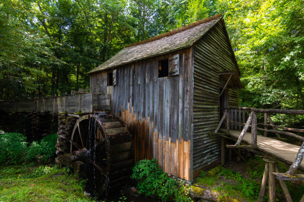istock Old mill in the woods 1167682925