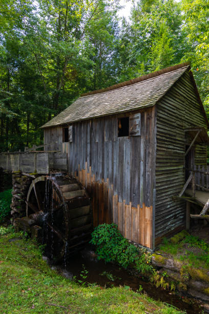 istock Old mill in the woods 1167682926