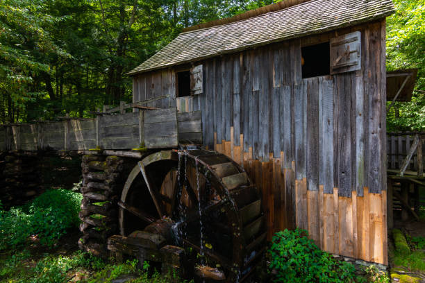 istock Old mill in the woods 1167682943