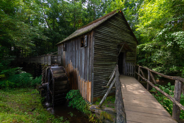 istock Old mill in the woods 1167682946