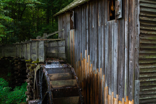 istock Old mill in the woods 1167682993