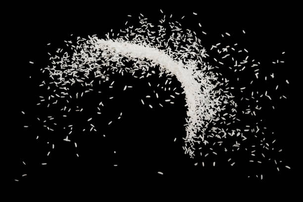 istock Stop motion white rice splash or explodsion flying in the air  isolated on black background food object design 1167683122