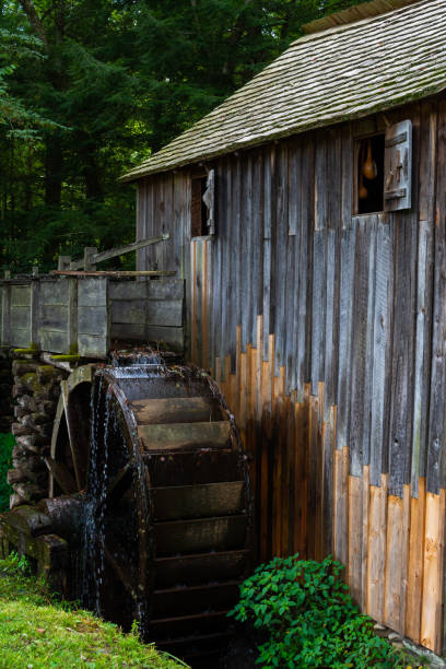 istock Old mill in the woods 1167683730