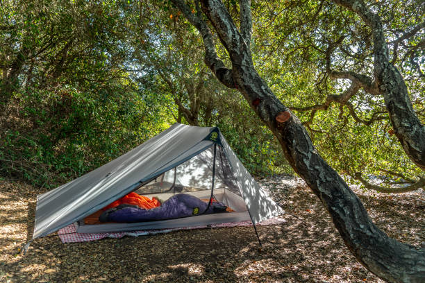 istock A-Frame tent set up in forested area 1167685074
