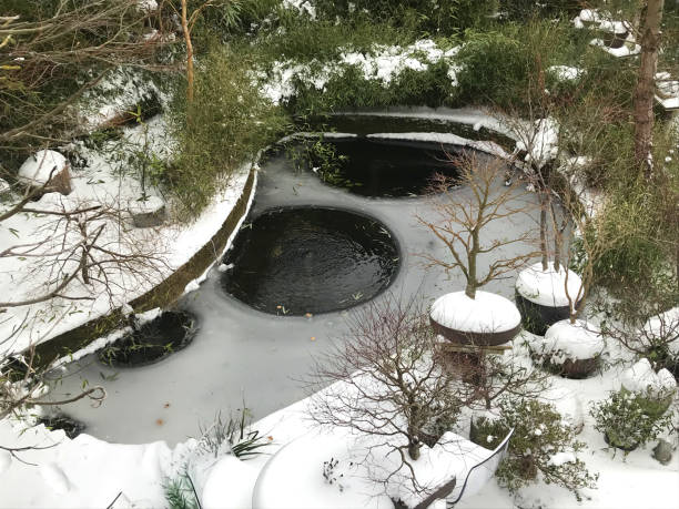 大雪/雪嵐の後、氷と雪で覆われた冬の庭の大きな凍った鯉の池の画像、盆栽の木や禅灯籠のある美しい東洋の日本庭園で水の凍結を止める通気泡を持つ金魚池ポンプ - pond life ストックフォトと画像