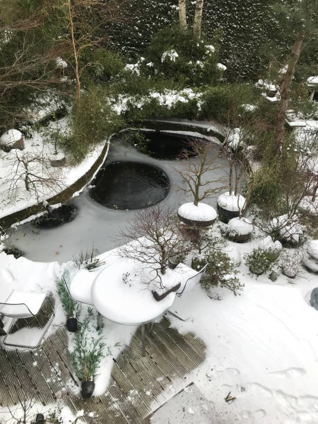 Stock photo of large frozen koi pond in winter garden covered with ice and snow after heavy snowfall / snowing storm, goldfish pond pump with aeration bubbles stopping water freezing in landscaped oriental Japanese garden with bonsai trees and Zen lanterns imagen de gran estanque koi congelado en jardín de invierno cubierto de hielo y nieve después de fuertes nevadas / tormenta nevada, bomba de estanque de peces dorados con burbujas de aire que detienen la congelación de agua en jardín japonés oriental