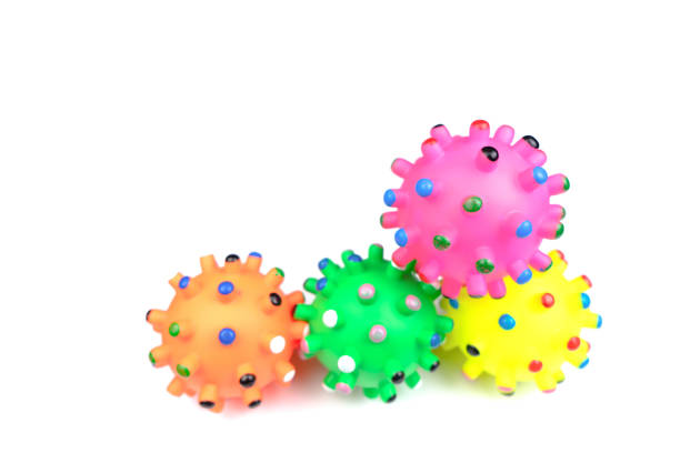 Pet toys on isolated white background.