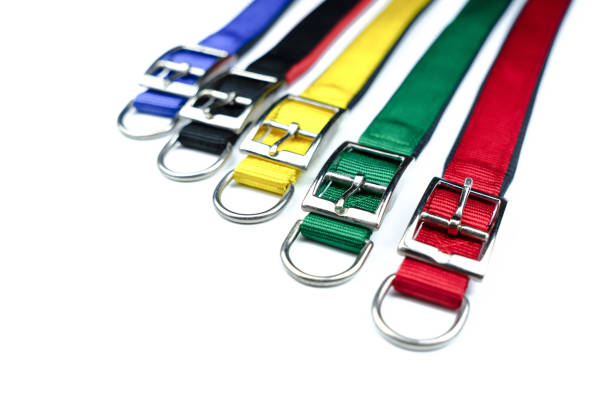 istock Pet collars on isolated white background.  Pet accessories concept 1167686071