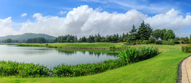 istock Green grass and woods with lake under blue sky 1167689805