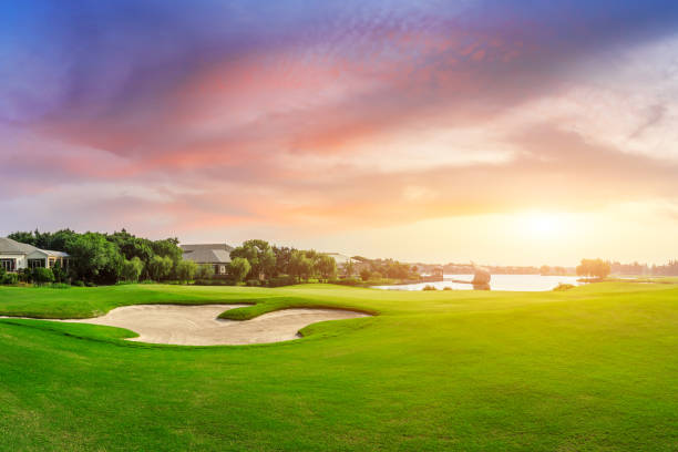 istock Green grass and woods on a golf field 1167689806
