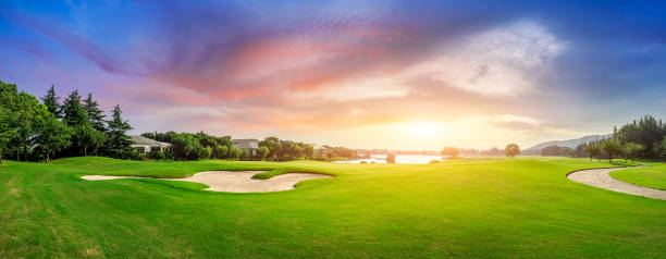 зеленая трава и леса на поле для гольфа - golf course стоковые фото и изображения