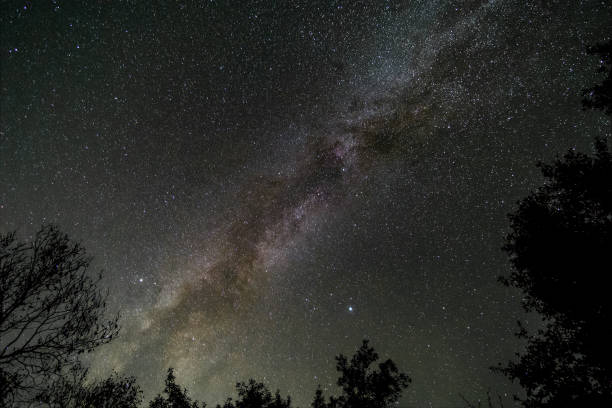 istock Starscape taken in Sequoia National Park 1167690771