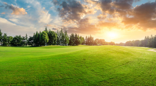 istock Green grass and forest with beautiful clouds 1167690973