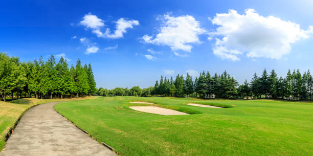 istock Green grass and woods on a golf field 1167691957
